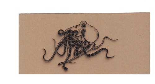 octopus karton